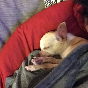 Meet your Posher, Jordan